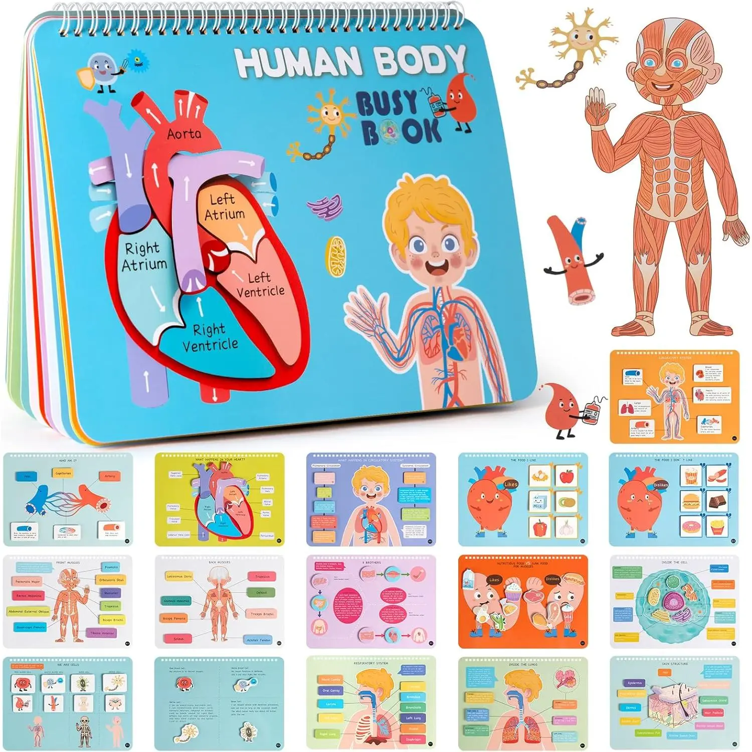 Montessori Busy Book for , Human  Anatomy Book for , Preshool  Learning Activities,  Sensory Toys, Gifts for Girls and Boys 4 5 6 7  - Human  System