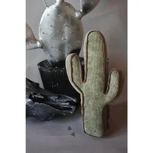 Kick a Cactus Pillow * Agave