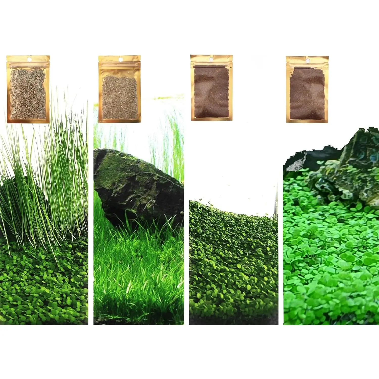 Aquarium Live Grass Seeds (4 Bags, 0.35oz Each) - Non-Artificial Plastic, Easy to Grow, High Spawning Rate, Fits All Substrate (Tiny, Long, Short, Big Dual Varieties) ZQV-010, Creates a Lively Underwater World
