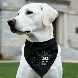 Spawn Point Atlanta Pet Bandana Collar – Gamer Cat-Dog Bandana Streetwear