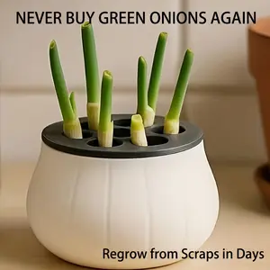 Never Buy Green Onions Again | Indoor Hydroponic Regrow Kit, Growing Kit, Garden, No Soil Needed, Reusable Kitchen Planter, Grow Fresh Scallions in Just Days