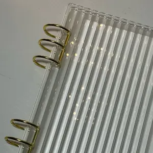 Acrylic Luxe Binder A5 Cash Stuffing