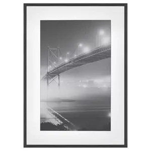 15.4" x 21.4" Matted to 11" x 17" Thin Metal Gallery Frame Black - Project 62