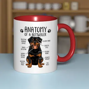 Anatomy of a Rottweiler Ceramic Mug - Funny Rottweiler Dog & Tea Cup with Soulful Eyes, -Tip, Dishwasher - Perfect Gift Suitable for Hugs