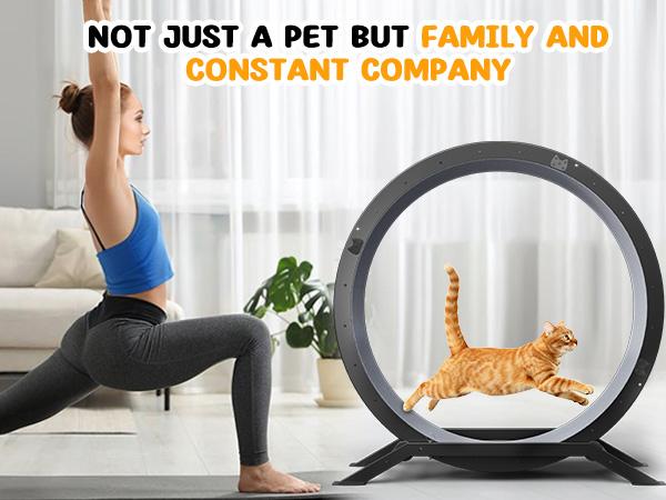 COMHOMA Cat Wheels, 40" Diameter, Large Cat Exercise Wheel for Indoor Cats Cat Treadmill Metal with Detachable Carpet & Teaser/Stickers Ultra-Quiet Scroll Wheel with Latch Safe and Stable