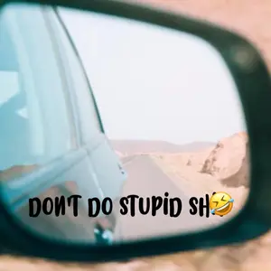 2 pc set Don’t Do Stupid Mirror Decal - Sticker - for Car Truck SUV Home Door Handmade to Order