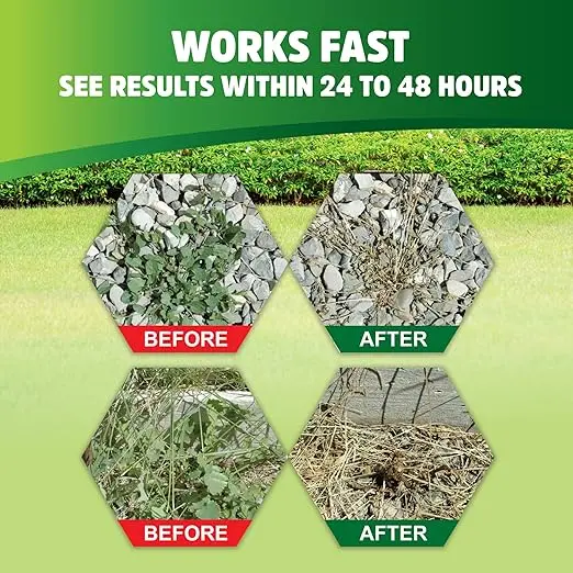 Pet's Pal Natural Weed Killer | Pet Safe Spray | Ready-to-use Natural  Herbicide | Environmentally Safe | Bee Safe | Glyphosate Free | Safe for  Kids (1 Gallon) - TikTok Shop