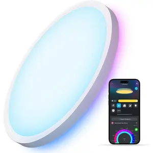 Smart Ceiling Light, RGBIC LED Ceiling Light Fixture, 2400LM Flush Mount Light Fixture, DIY Colors, Works with Alexa, 2200K-6500K Lights for Bedroom, Living Room,12 Inch, 1 Pack (White)