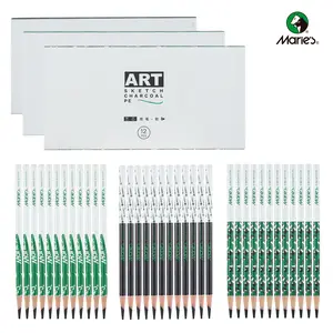 Professional Charcoal Pencils Set for Drawing & Sketching | 36-Pack Art Core Charcoal Pencils (12 Soft, 12 Medium, 12 Hard) | For Artists, Students