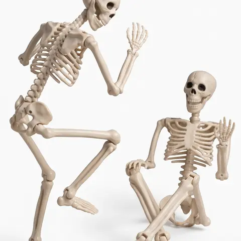 2-Pack(36")& 5-Pack(16")Spooky Halloween Skeletons, Full Body Life-Size Posable Plastic Human Bone Models with Movable Joints, Ornaments for Outdoor Yard, Chair Decor & Holiday Gift