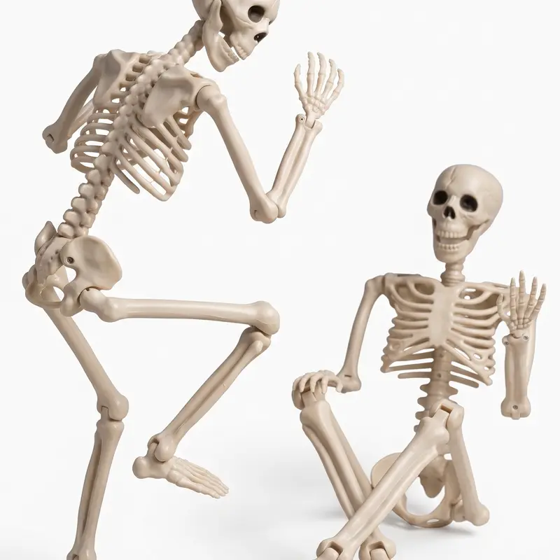 2-Pack(36")& 5-Pack(16")Spooky Halloween Skeletons, Full Body Life-Size Posable Plastic Human Bone Models with Movable Joints, Ornaments for Outdoor Yard, Chair Decor & Holiday Gift