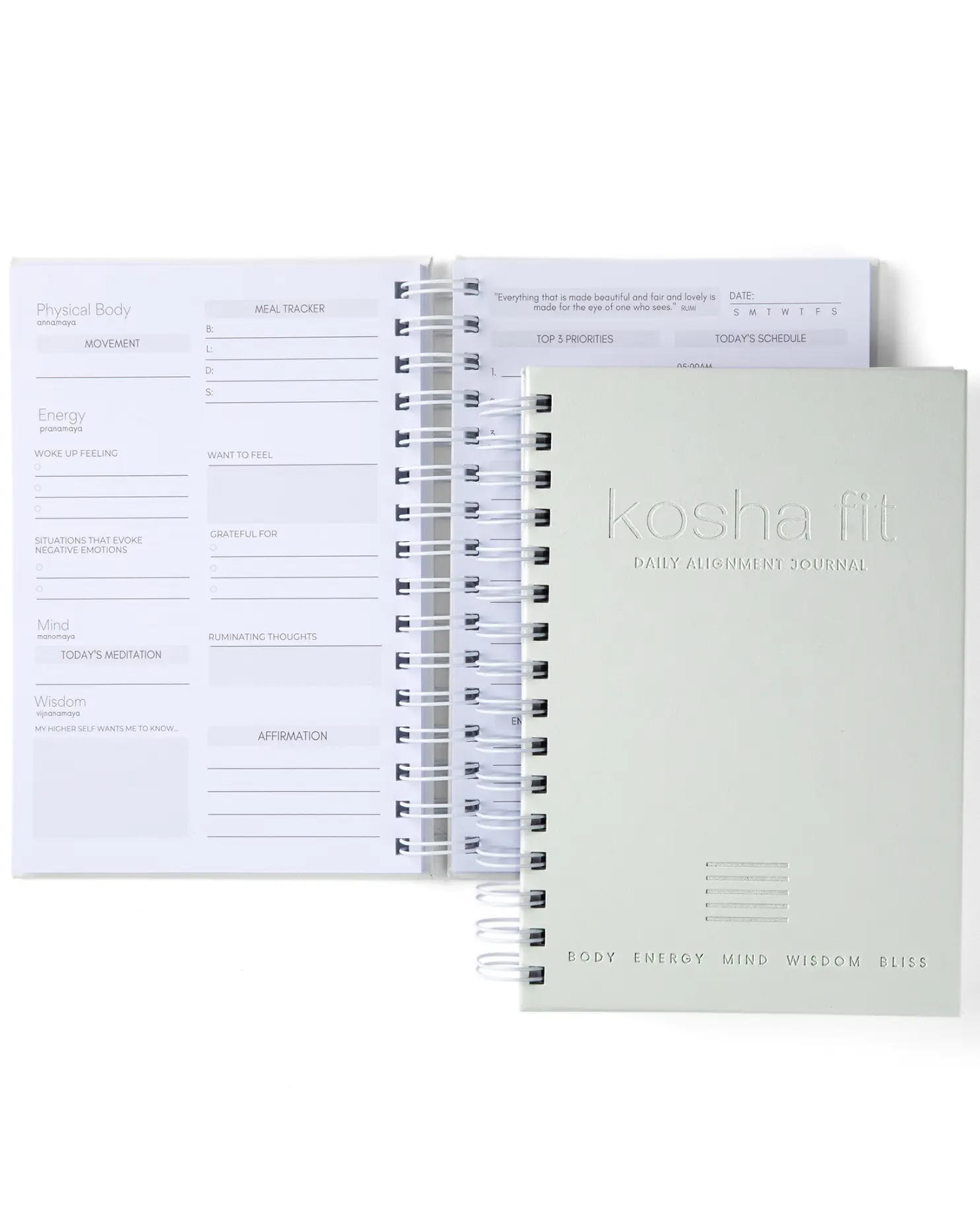 Daily Alignment Journal