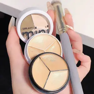 FlawlessFix Concealer Kit