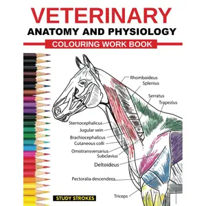 Veterinary Anatomy and Physiology Coloring Work Book: Easy and Effective Self assessment, Test prep and Revisions Study Guide for Vet Medicine and Nursing Students Paperback – August 8, 2023