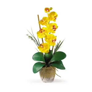 Nearly Natural Single Stem Phalaenopsis Silk Arrangement