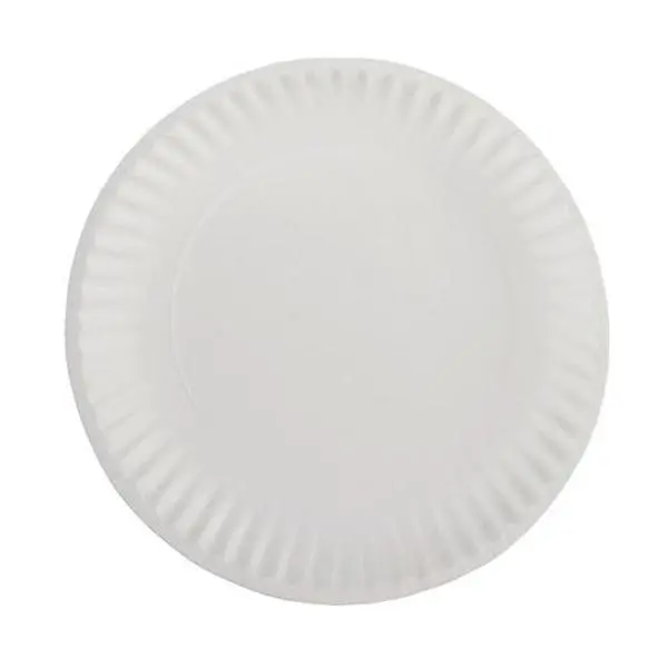 Choice Disposable Paper Plates, Plain, 9 in, 200 Count