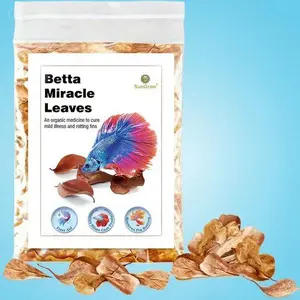 Natural Aquarium Leaves for Betta Fish – 50 pcs Water Conditioner – Safe for Shrimp, Goldfish, Guppy, Frogs – Reusable, Chemical-Free – Enhances Water Quality, Promotes Fish Health marimo  moss  ball live aquarium plant fish  pump