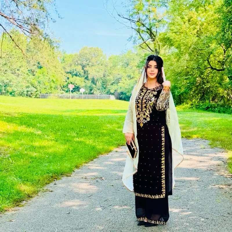 Punjabi Party Wear