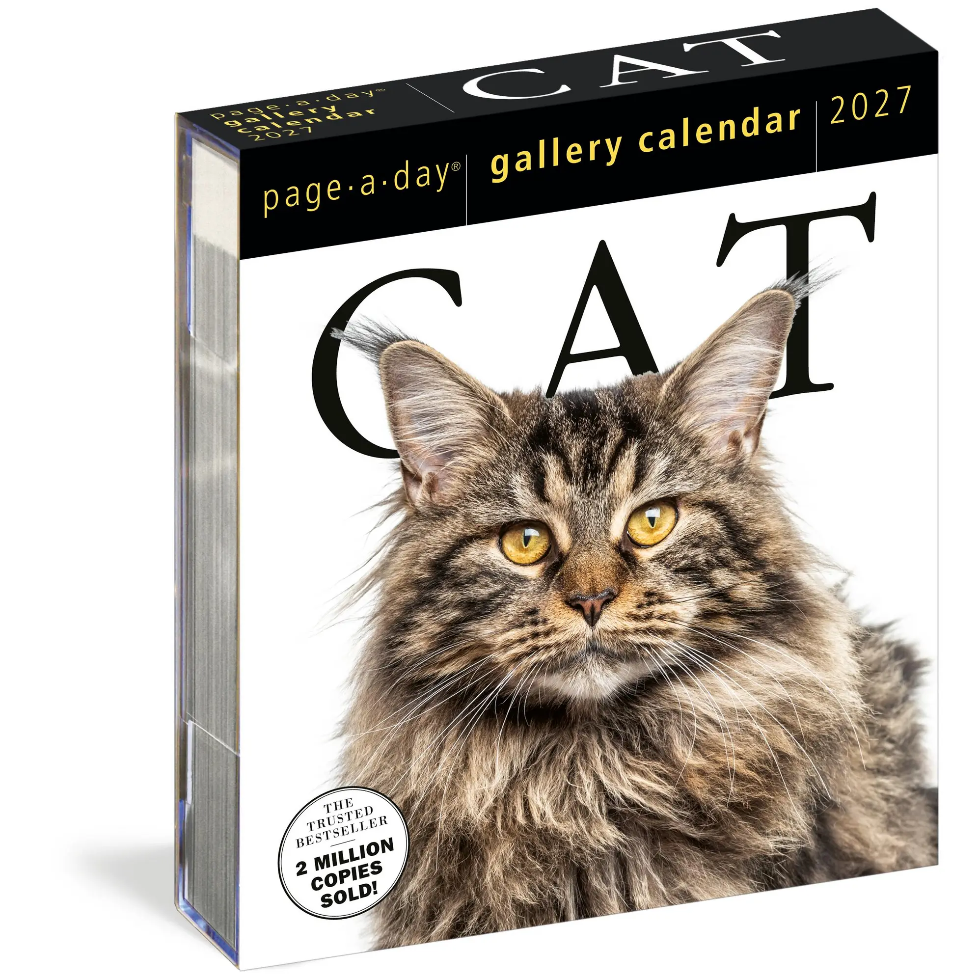 Cat Page-A-Day® Gallery Calendar 2027 by Workman Calendars