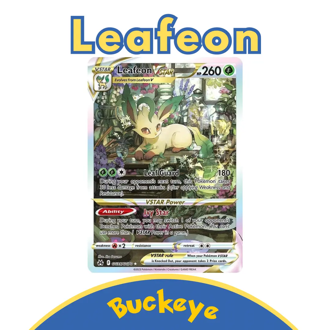 pokemon pichu card Pokémon Box main image 0