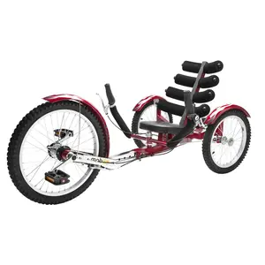 Mobo Shift Tricycle for Teens and Adults - A Durable Single Speed Tricycle for Outdoor Cycling with a Reverse Gear Function