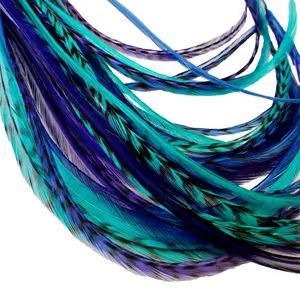 Jaded Hair Feather Extensions - Bundle
