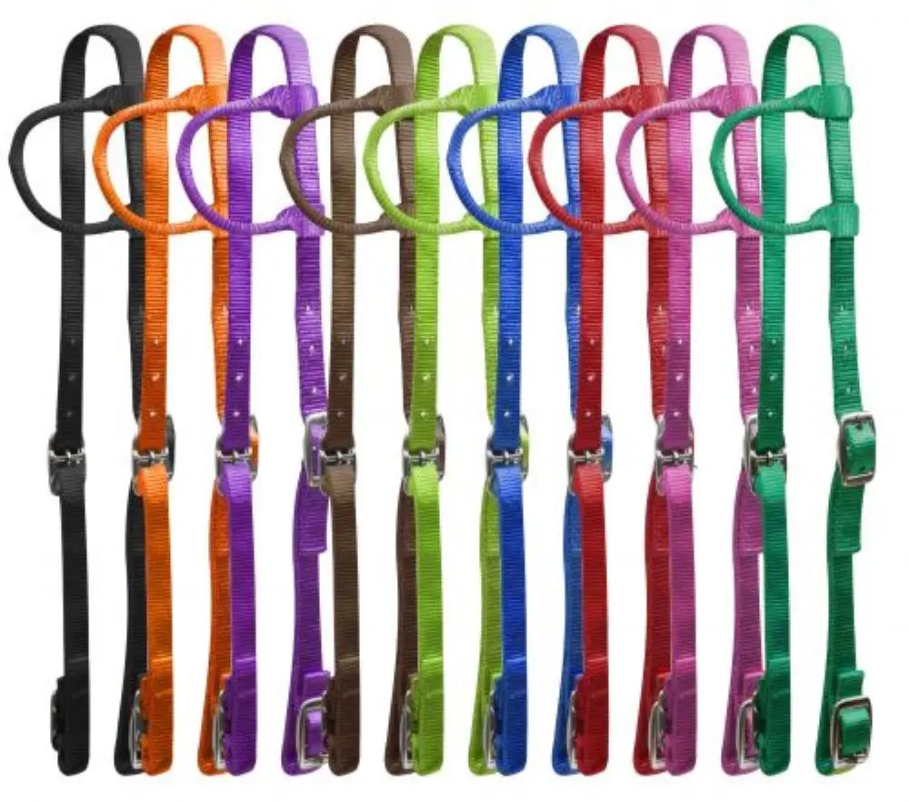 Showman Nylon One Ear Headstall Bridle