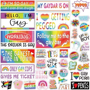76 count  Funny Gay Prank Bumper Stickers, Funny LGBT Gay Stickers for      Luggage Sticker for Adults Bumper