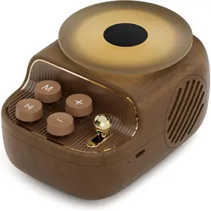 Speakers  , 3 in 1 Protable Cute Speakers with Aromatic tray,  Record Player Look, Adjustable Ambient Lights for  Office Decor, Gifts for Mother, Girlfriend, Men ()