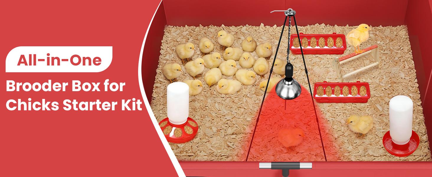 Square Brooder Box for Chicks, All-in-One Chick Starter Kit with 250W Heat Lamp, Perch, Feeder & Waterer Set, Stainless Steel Frame, Fits Up to 30 Chicks (Lamp) Square Brooder Box for Chicks, All-in-One Chick Starter Kit with 250W Heat Lamp, Perch, Feeder & Waterer Set, Stainless Steel Frame, Fits Up to 30 Chicks (Lamp)