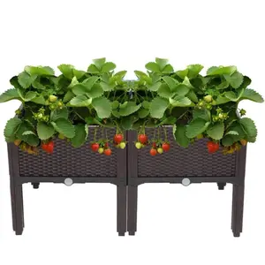 VINGLI Square Raised Garden Bed, Self-Watering Plastic Planter for Indoor Outdoor Vegetables, Fruits, Potato, Flowers, All Weather (2 /6 Pcs)