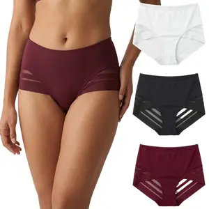 4 Pack Seamless High Waist Mesh Briefs, Breathable Tummy Control No Show Panties for Women, Soft Stretchy Daily Underwear