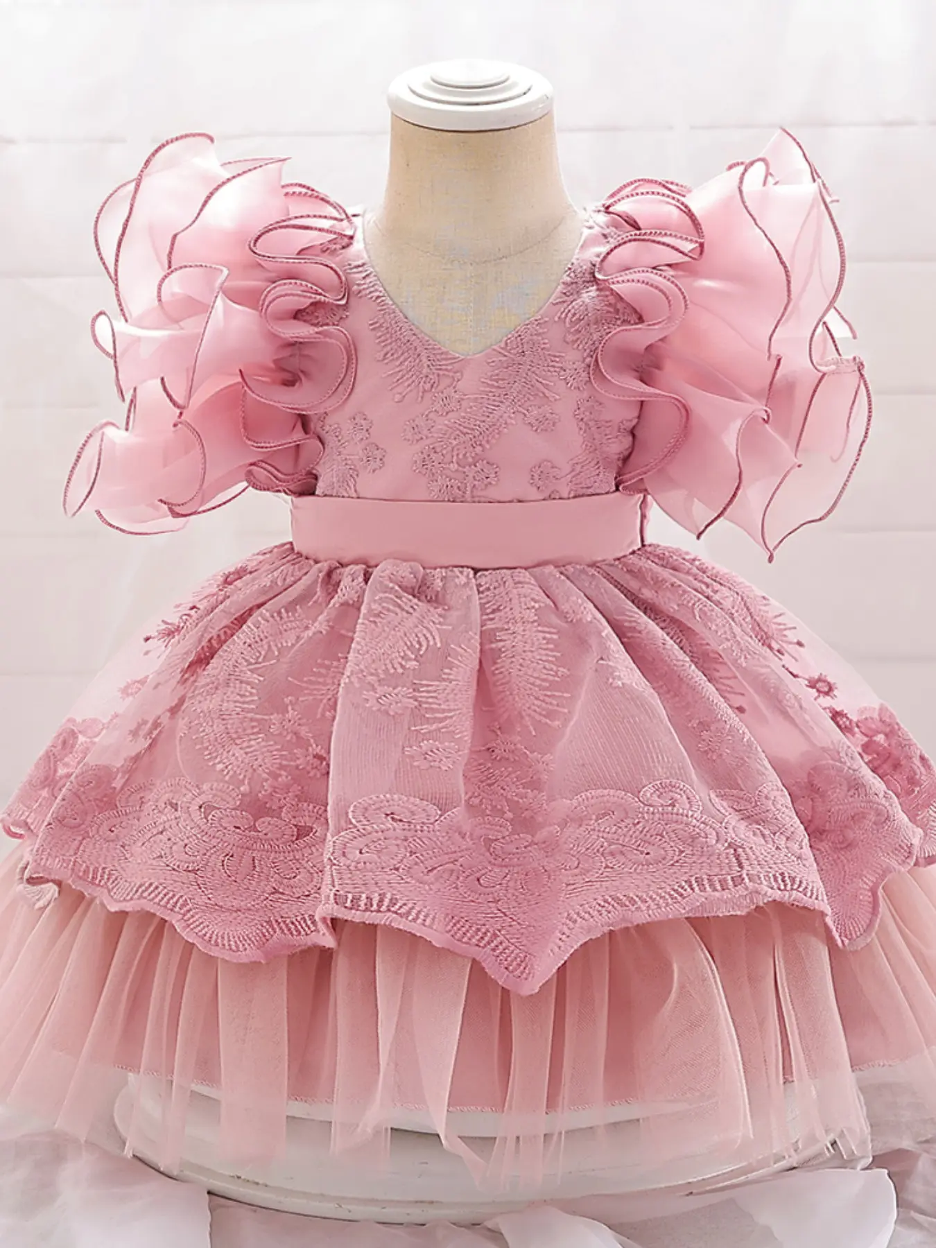 Baby Girl Clothes Infant Christening Cocktail Toddler Tutu Dress Baptism Pageant Birthday Party Embroidered Mesh Ball Gown Princess Dress for all Season 0 to 2 Years