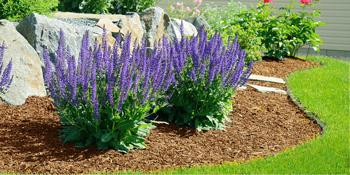 Multi-Functional Garden Flat Shovel.ennvaofficial serrated lawn trimmer, half-moon lawn trimmer with T-handle, long-handled step-by-step trimmer for walkways and lawns, 38inch