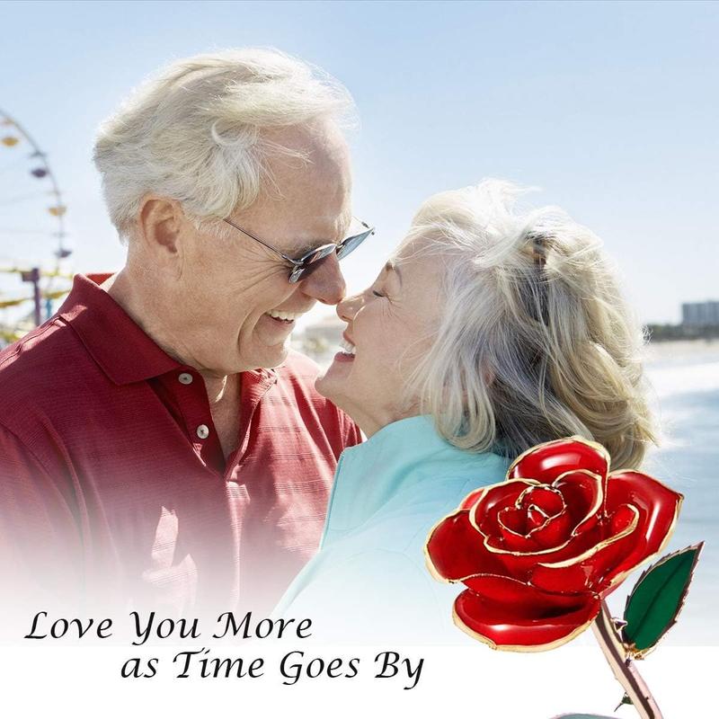 Dipped Rose,24K  Rose with Transparent Stand,Real Long Stem Eternity Rose Flower  for Her,Mom,Wife,Girlfriend,Anniversary,Mothers Day,Birthday,Valentine's,Wedding