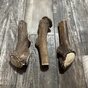 MAGNUM Elk Antler Dog Chew With Burr, (1pc) Premium Elk Antler Chews From Montana!
