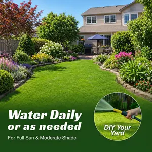 Sun & Shade Grass Seeds for Lawn Planting, Hardy Turf Seeds for New Lawns, Bare Spots, Yard Repair, and Overseeding