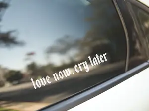Love now, cry later Vinyl Decal for Car, Computer etc.