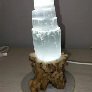 The Wright Tree Crystal Selenite Set