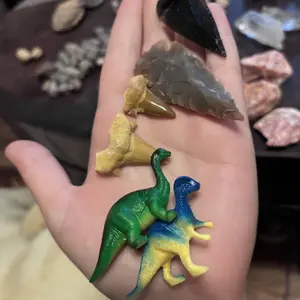 Fossil Mining Bucket - Gallon Bucket - 10-12 lbs Total - Over 12 Different Types of Fossils and Natural Crystals