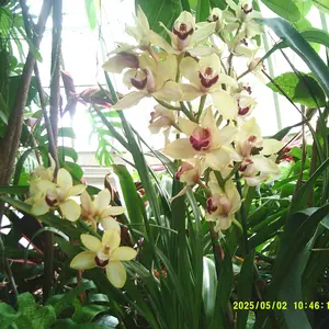 Product Review of Digital Camera, 1080P & 44MP, 32G Memory Card, 16X Digital Zoom, Compact & Portable Digital Camera Photos For Teens & Beginners, Gift #TOP PICKS,Boys & Men gifts from e**🦭