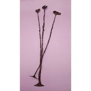 Vintage African Kissi Pennies - Traditional Iron Currency