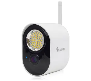 Toucan Security 1080p Floodlight Cam with Motion Detection