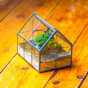NCYP Mini Glass Terrarium with Lid - 6.1" x 4.25" x 4.92" House Shape Closed Planter Pot for Small Cactus, Succulents Plant (Terrarium Only)