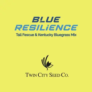 Blue Resilience Tall Fescue X Kentucky Bluegrass Mixture