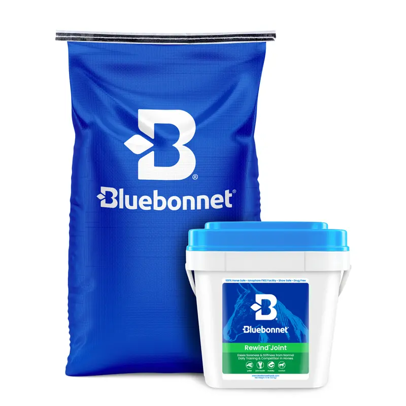 Rewind Joint - Drug Free Joint Comfort Supplement for Horses