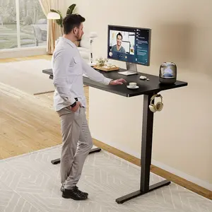 Standing Desk, Adjustable Height Electric Sit Stand Up Down Computer Table, Modern Lift Motorized Desktop Workstation, 40x24 Inch Ergonomic Rising Desks for Work Office Home