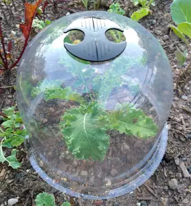 GrowAway Complete Set with 50 Pieces: 10 Garden Cloches, 30 Metal Stakes and 10 Plant Labels for Gardening, Seedling Covers, Plant Protectors, Plastic Garden Cloches, Mini Greenhouses