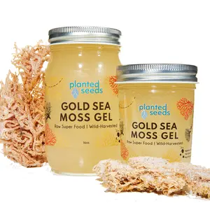 Gold Sea Moss Gel