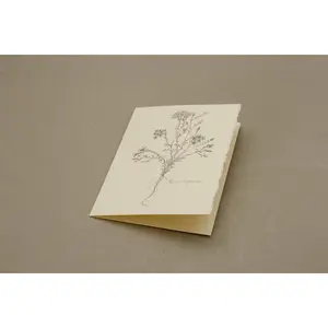 Botanical Chaenactis Carphoclinia Card Pack of 5